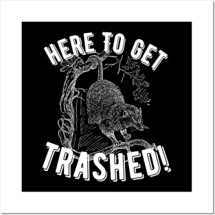 Opossum Here To Get Trashed! Posters and Art